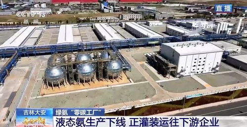 零碳工廠 新能源“就地生金”，全鏈條綠色消納體系引領未來